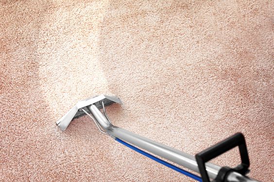 Tintorería Orihuela limpieza con aspiradora de alfombra